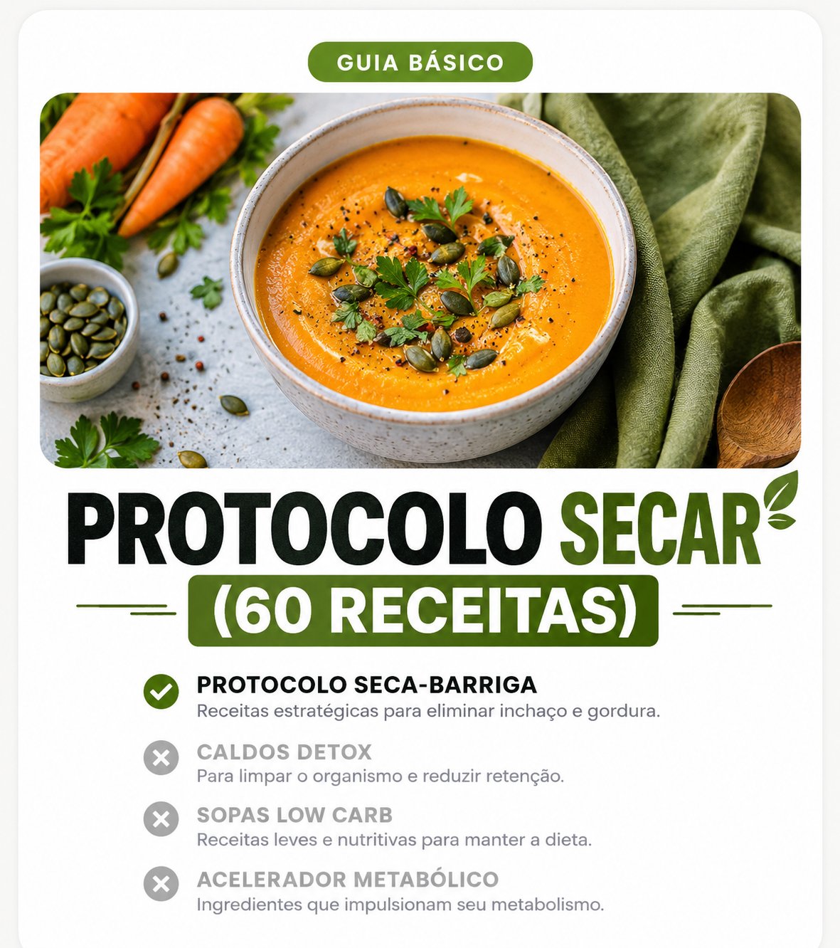 Guia Básico